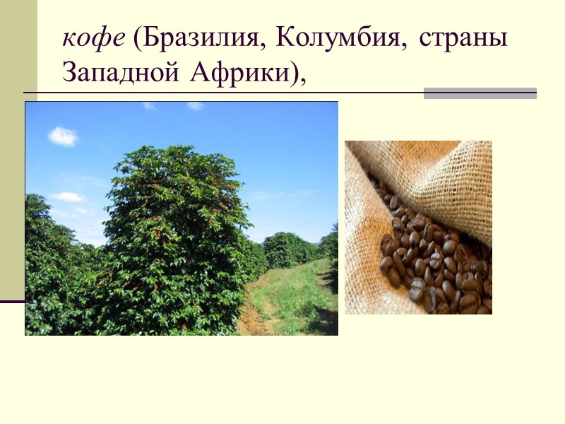 кофе (Бразилия, Колумбия, страны Западной Африки),